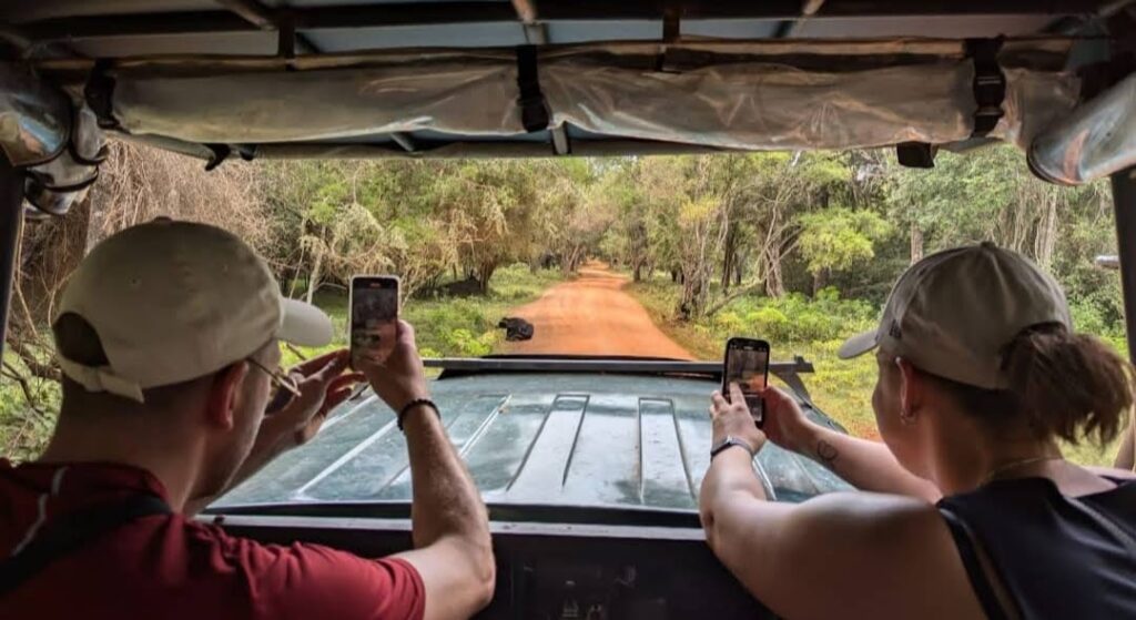 Wilpattu Eluwankulama Half Day Safari