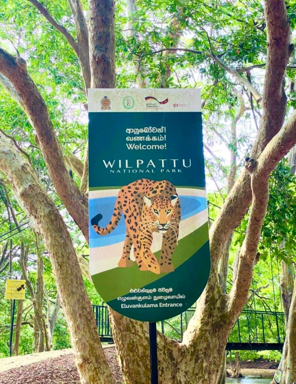 Wilpattu Eluwankulama Full Day Safari